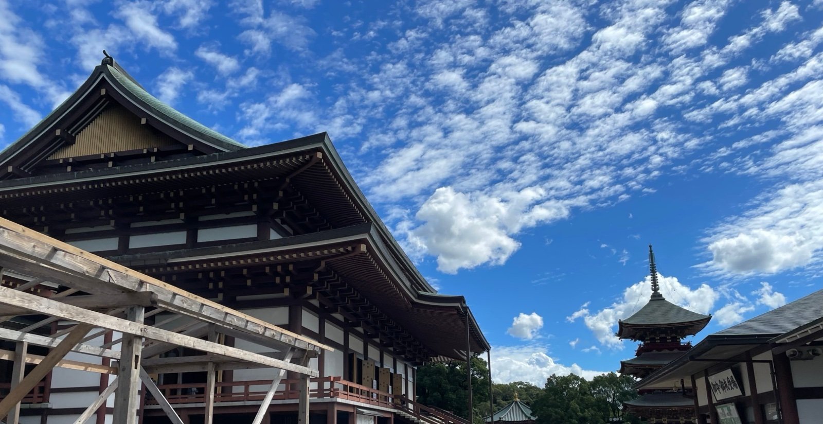 成田山新勝寺の大本堂と三重塔と青空